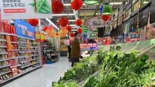 BJL平台集团|德甲 云达不莱梅 VS 沙尔克04(图2) BJL平台集团