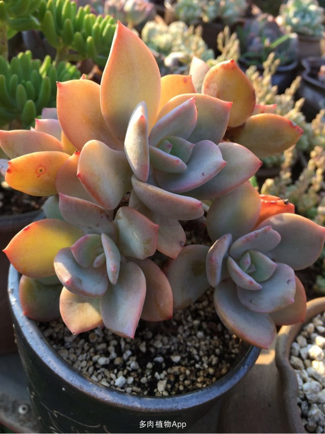 《地下世界：崛起》宣布9月发售 E3预告片放出：BJL平台集