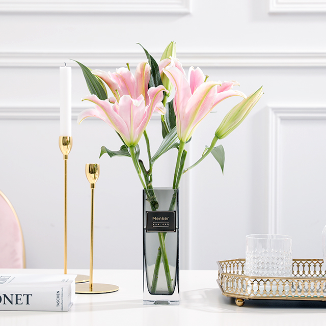 BJL平台集团|新东方发布《2015年雅思年度报告》