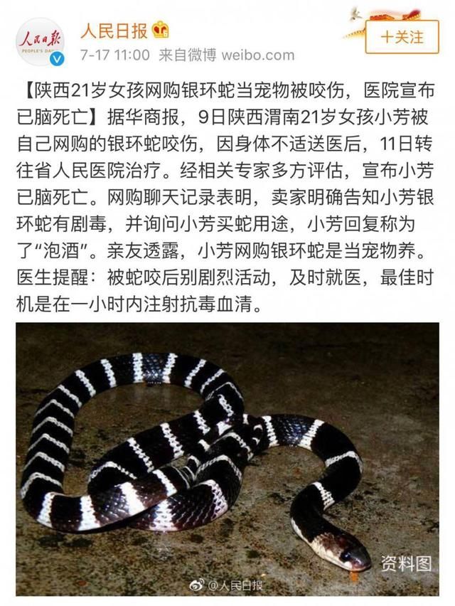 BJL平台集团_
2-0！5连胜！莱万一连5赛季进40球全取