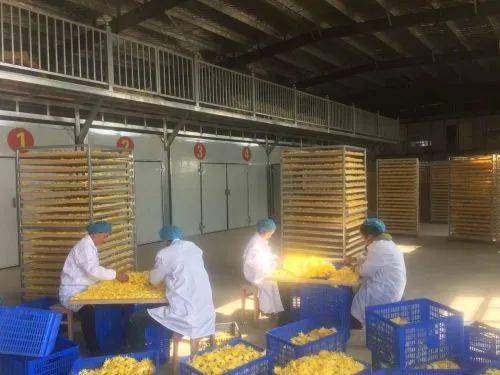 
“百名记者走下层·小康生活我打卡”大型主题宣传报道运动第十二站走进都昌：BJL平台集团(图3)