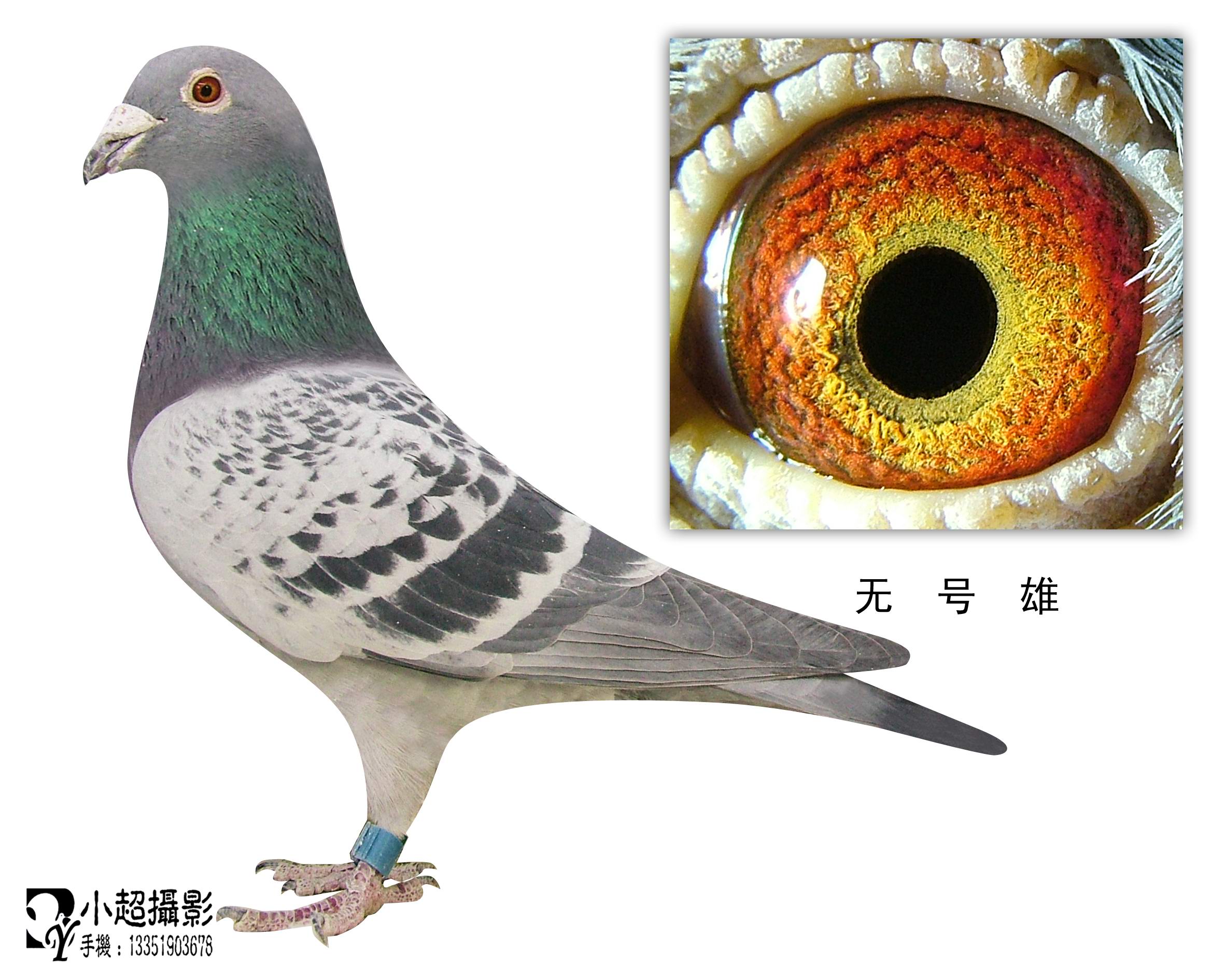 “BJL平台集团”曝莱万因年龄太大无缘皇马 C罗:应选择年轻球员(图1) BJL平台